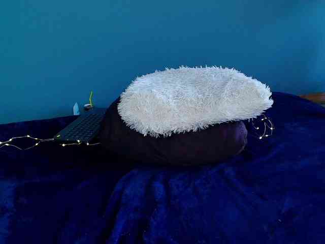 perfect-moans webcam