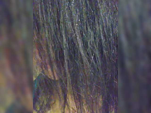 Nikoletta25's BongaCams show and profile