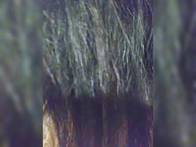 Nikoletta25's BongaCams show and profile