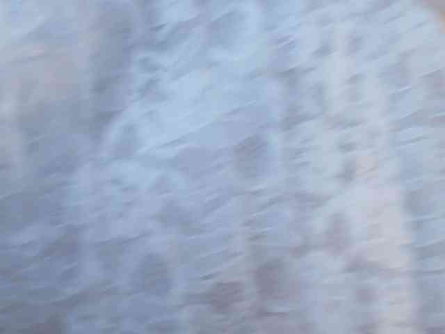 RoseSweetie webcam