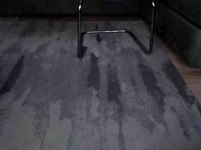 reinakylie webcam