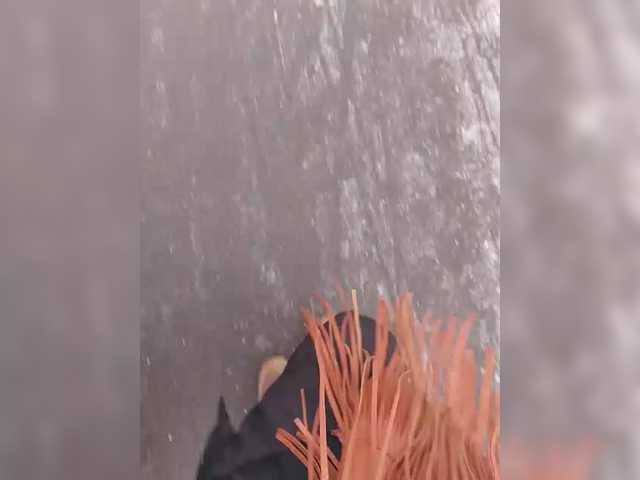 TilyTily's BongaCams show and profile