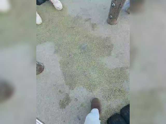 TilyTily's BongaCams show and profile