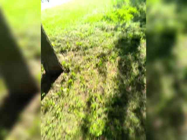 TilyTily webcam