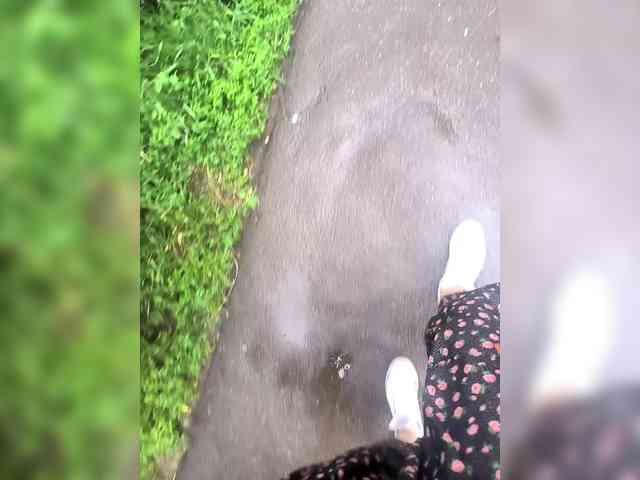 TilyTily webcam