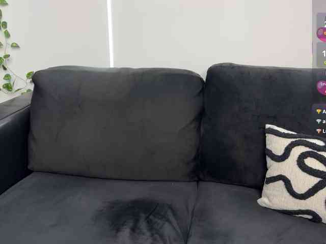 Tiiina webcam