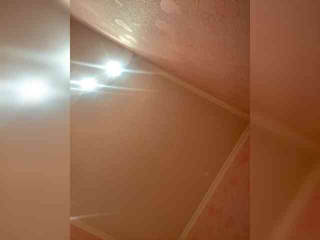 Donut-red webcam