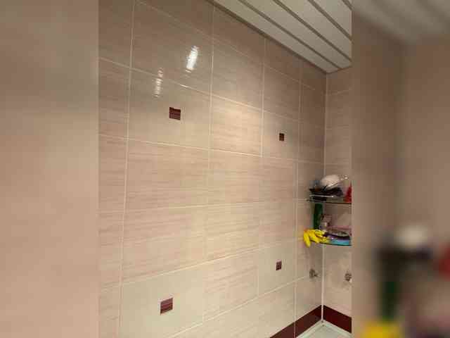 Donut-red Live Webcam on BongaCams