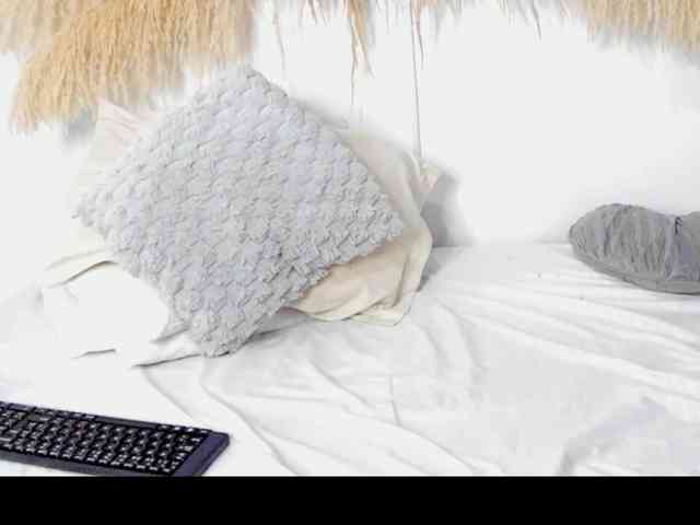 Shakebigass webcam