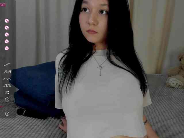 Ice-pikmi webcam