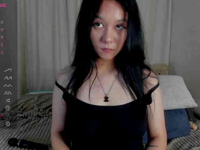 Ice-pikmi webcam