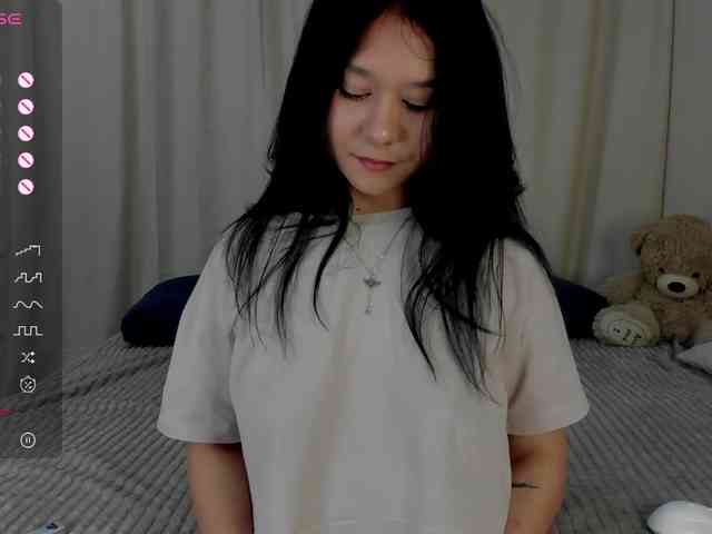 Ice-pikmi webcam