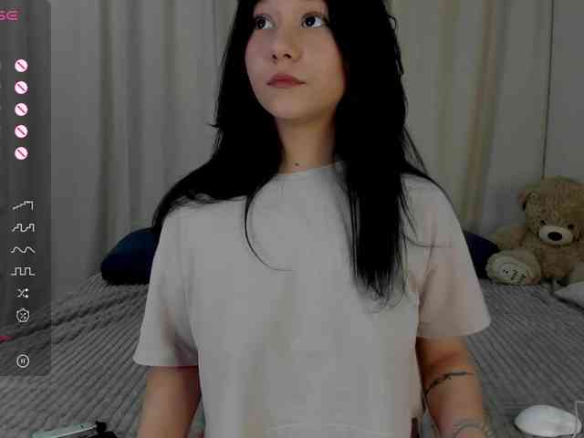 Ice-pikmi webcam