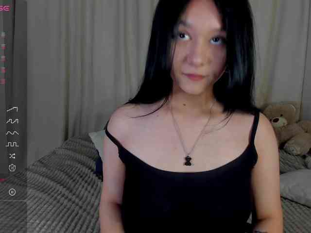 Ice-pikmi webcam