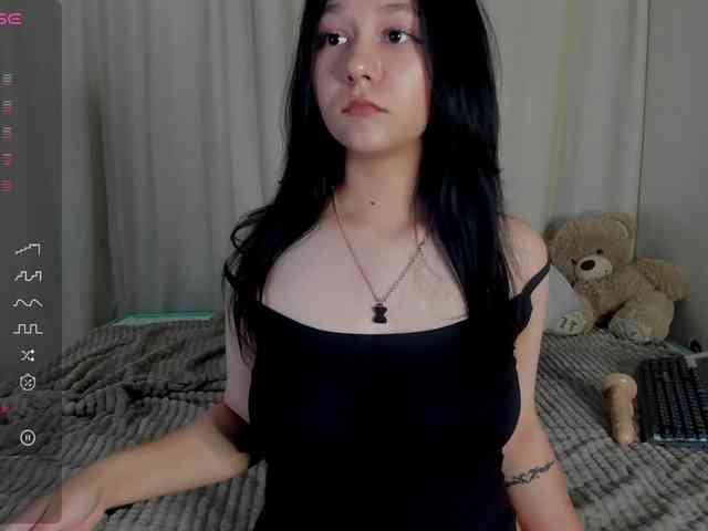Ice-pikmi webcam