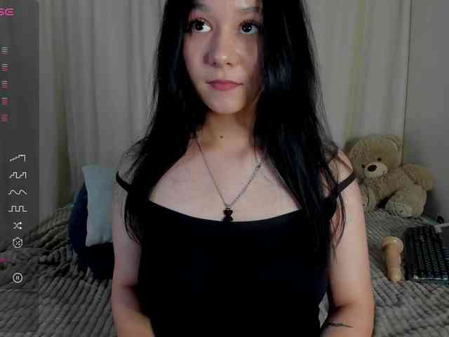 Ice-pikmi webcam