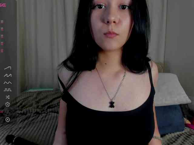 Ice-pikmi webcam