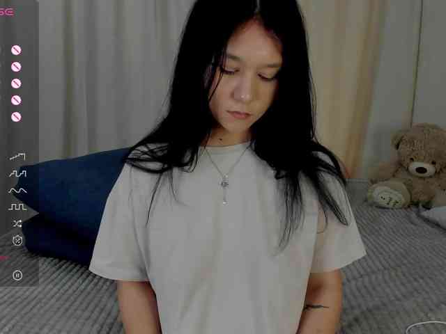 Ice-pikmi webcam