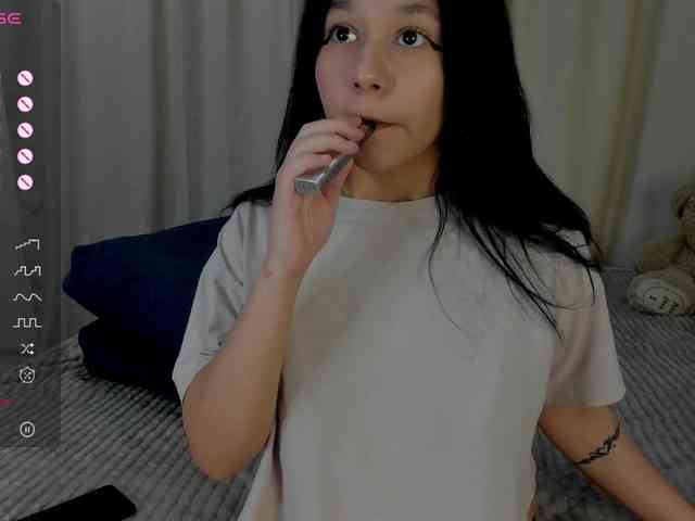 Ice-pikmi webcam