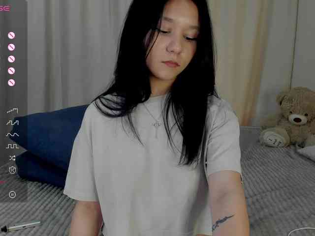 Ice-pikmi webcam