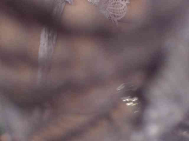 martinafonse webcam