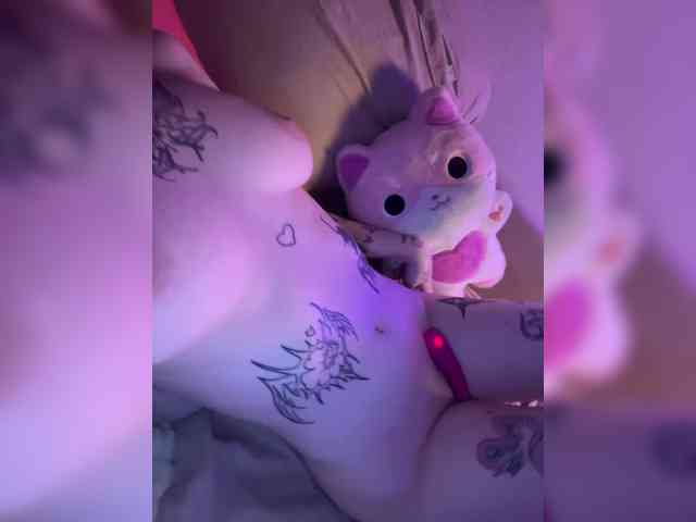 MeiMeisy webcam