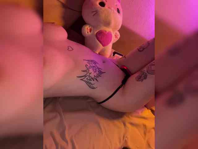 MeiMeisy webcam