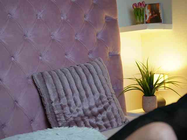 MaiaMini webcam