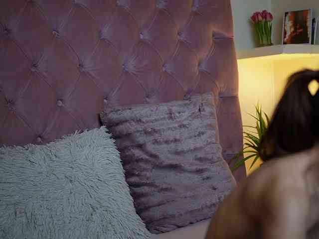 MaiaMini webcam