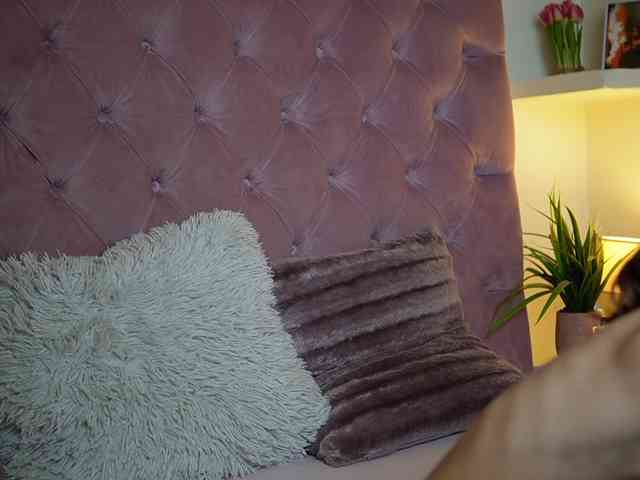 MaiaMini webcam