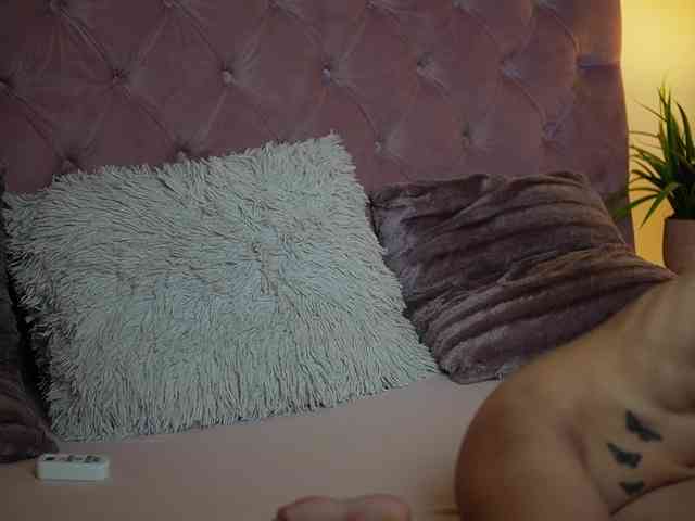 MaiaMini webcam
