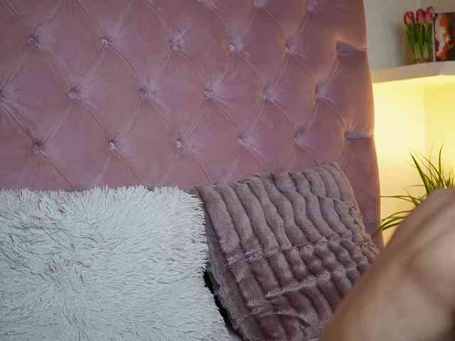 MaiaMini webcam