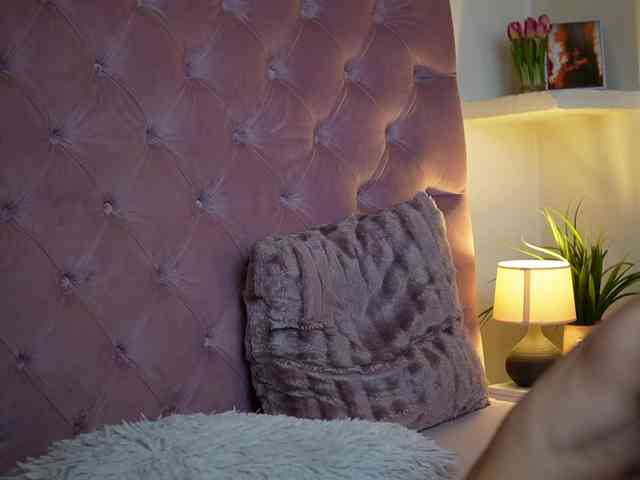 MaiaMini webcam