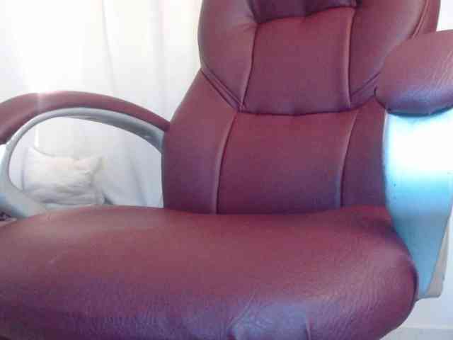 Mature2025 Mature2025