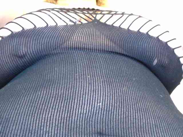 Mature2025 webcam