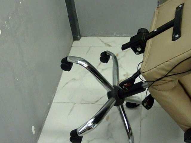 MariaLeteciaFilipina's BongaCams show and profile