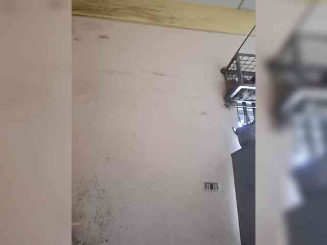 MariaLeteciaFilipina webcam