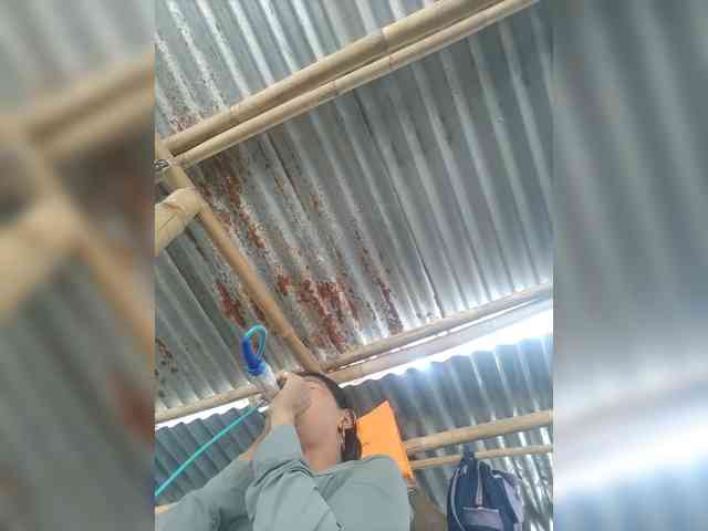 MariaLeteciaFilipina webcam