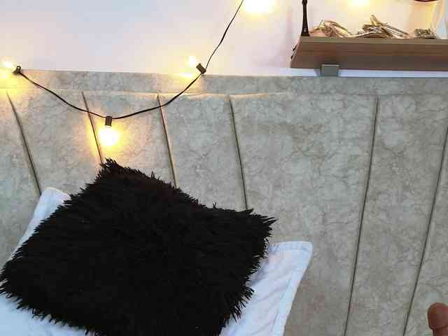 SofiaPeach SofiaPeach