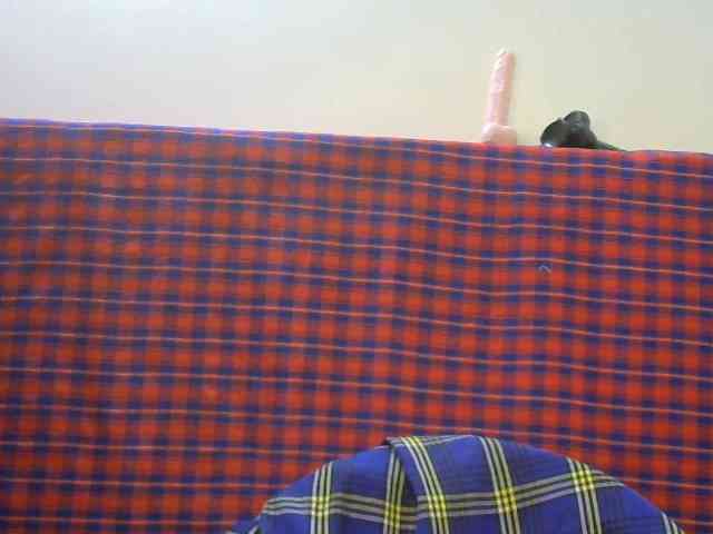 Stacylane webcam