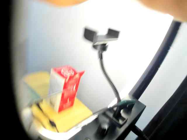 Dayanacarson webcam
