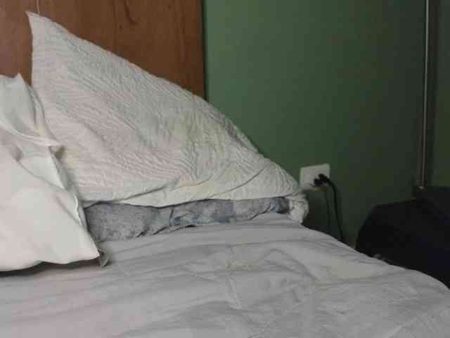 nickjordan nickjordan