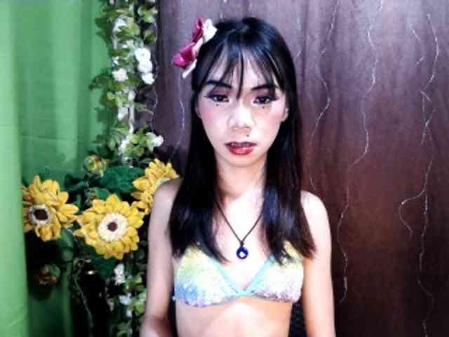 SKINNYasianSLUTs Live Webcam on BongaCams
