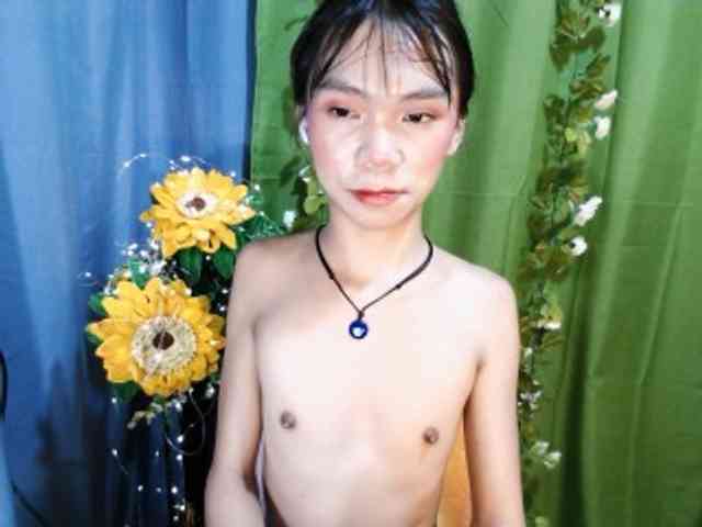 SKINNYasianSLUTs