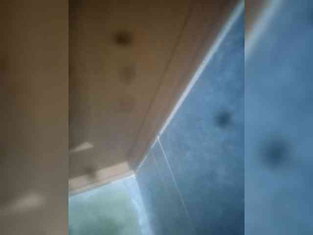 Kunislav-1 Kunislav-1