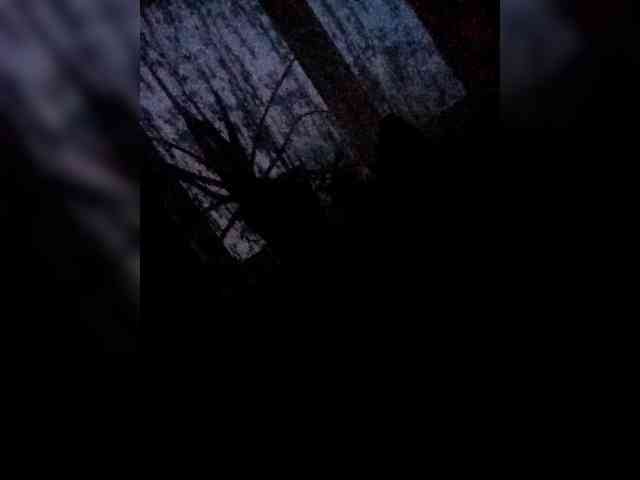 Kunislav-1 Kunislav-1