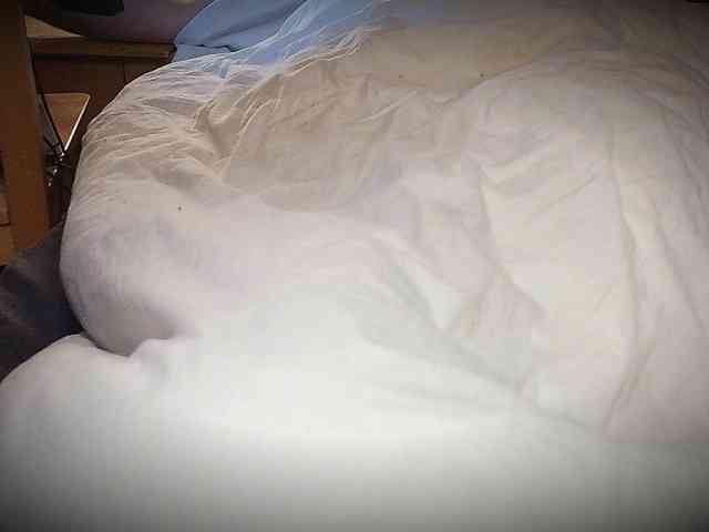 Hanssexchat2 Hanssexchat2