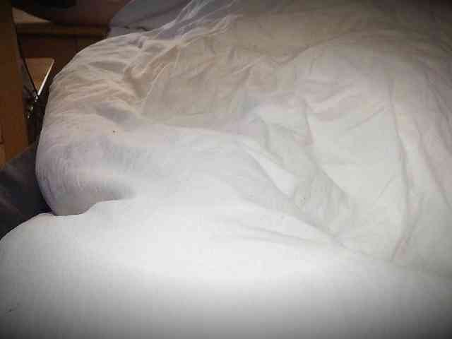 Hanssexchat2 Hanssexchat2