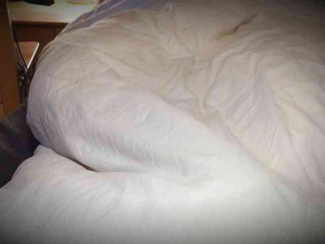 Hanssexchat2 Hanssexchat2