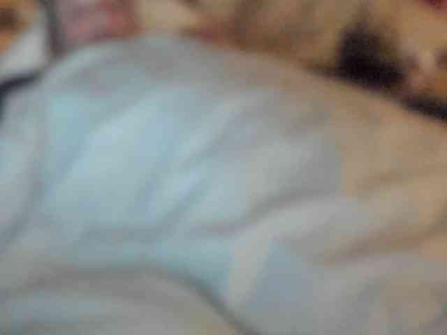 Hanssexchat2